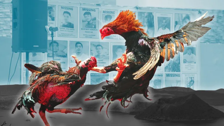 Cách Chơi Đá Gà Sabong Tại 84Win Chi Tiết Từ A Đến Z Cho Người Mới