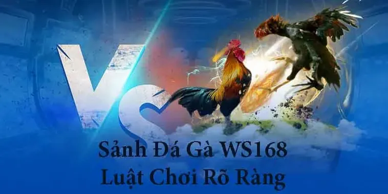 Cách Chơi Đá Gà WS168 Tại 84Win Chi Tiết Cho Người Mới Bắt Đầu