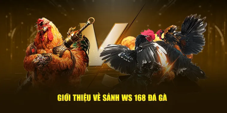 Cách Chơi Đá Gà WS168 Tại 84Win Chi Tiết Cho Người Mới Bắt Đầu