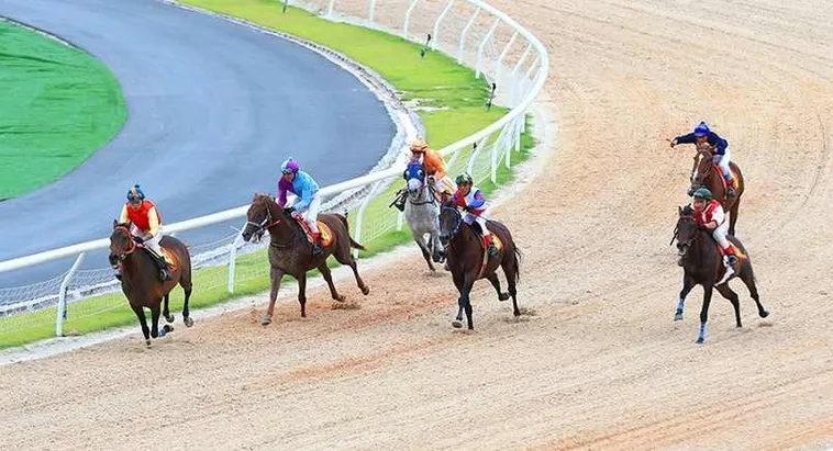 Tìm hiểu cá cược Đua ngựa 84Win – Trải nghiệm đỉnh cao của tốc độ và chiến thuật