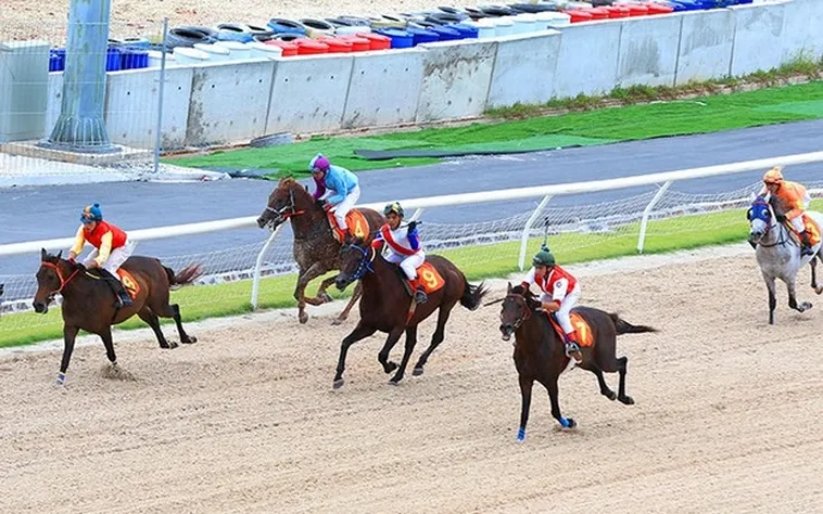 Tìm hiểu cá cược Đua ngựa 84Win – Trải nghiệm đỉnh cao của tốc độ và chiến thuật