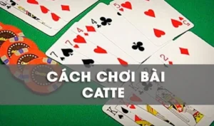 Khám Phá Cách Chơi Sắc Tê Nhà Cái 84Win Hiểu Rõ Luật Chơi Và Cách Thắng Lớn
