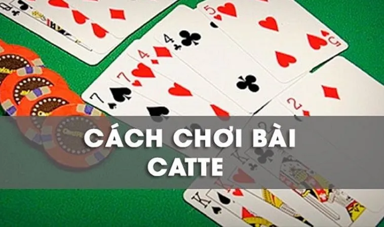 Khám Phá Cách Chơi Sắc Tê Nhà Cái 84Win Hiểu Rõ Luật Chơi Và Cách Thắng Lớn